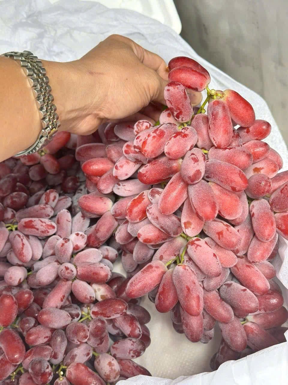 Nho đỏ Crimson
