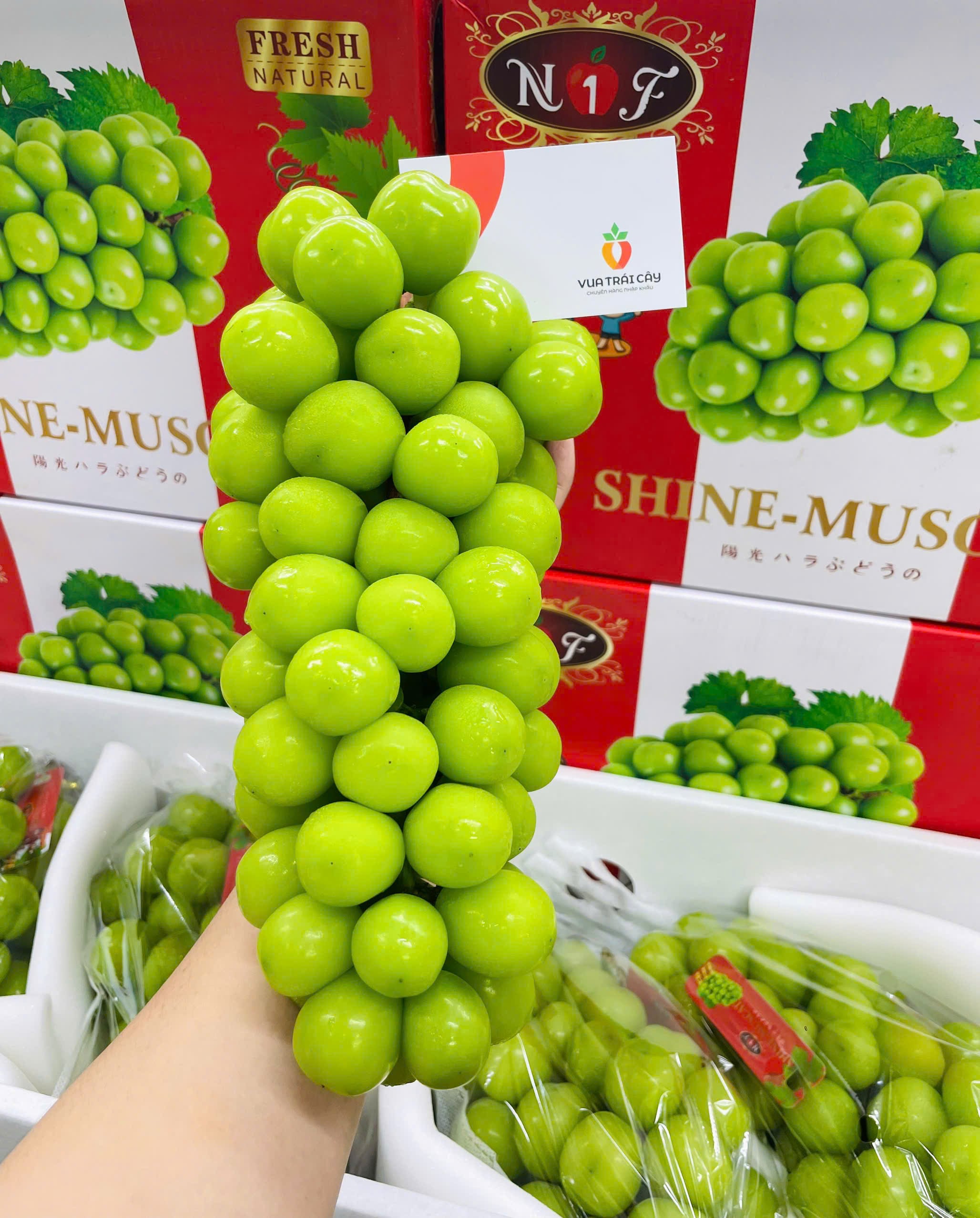 Nho mẫu đơn Shine Muscat VIP 1