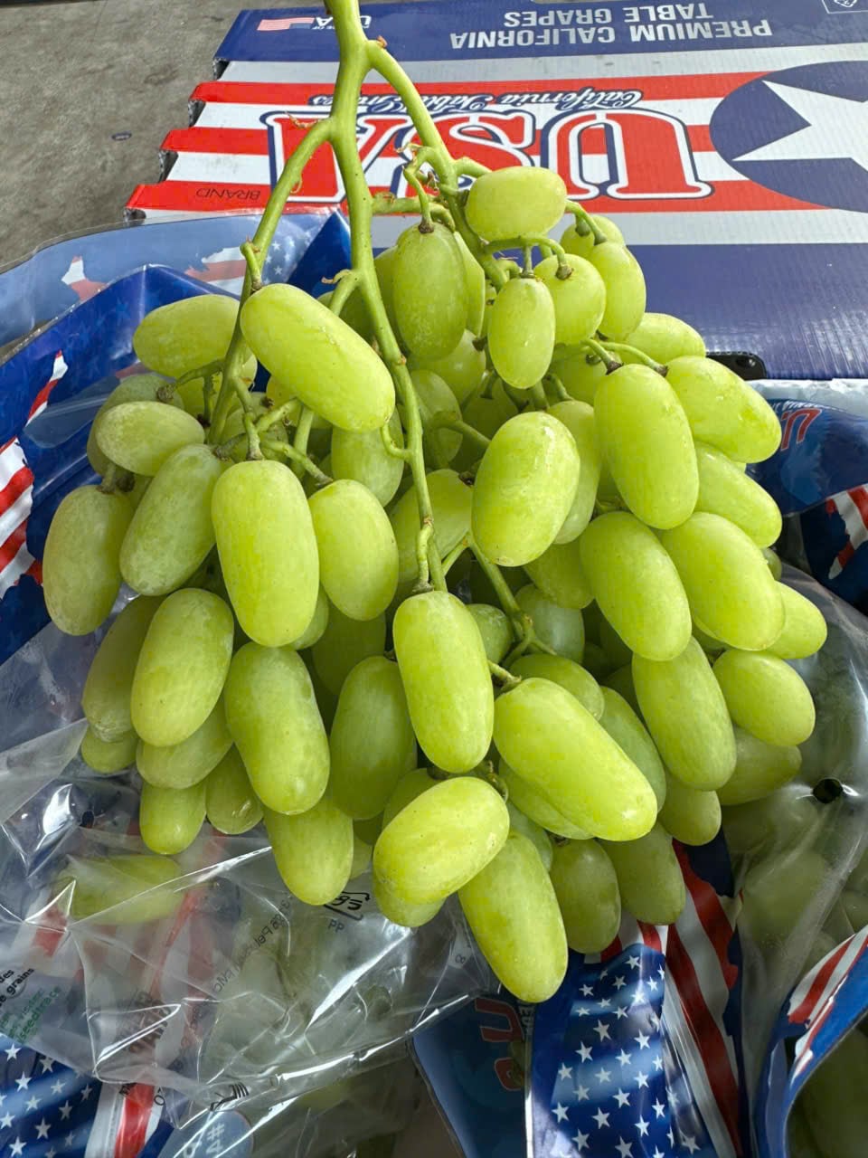 Nho Mỹ Sugar Drop