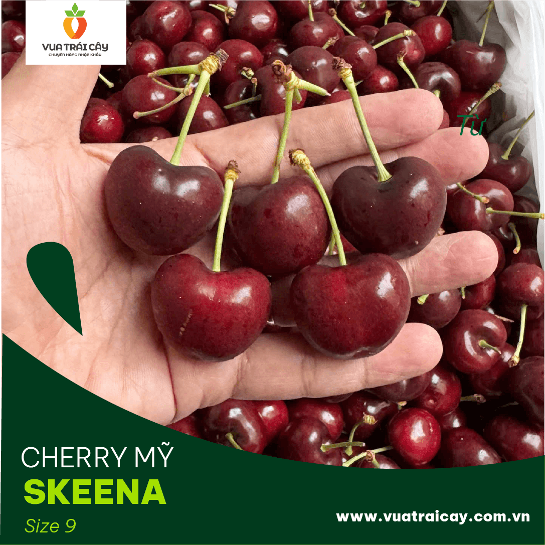 Cherry Mỹ Size 9
