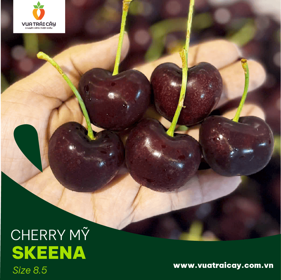 Cherry Mỹ Size 8.5