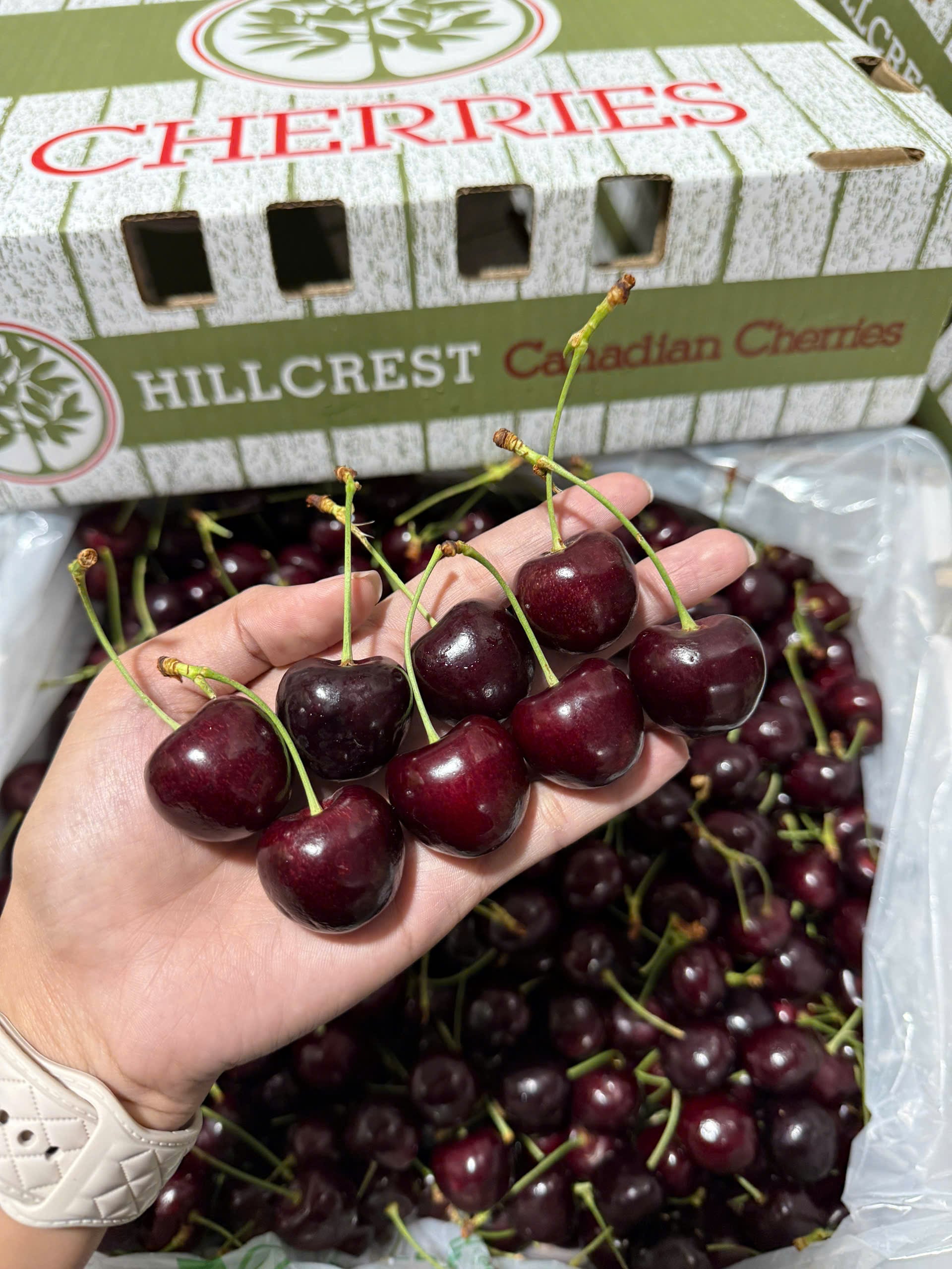 Cherry Canada Size 9