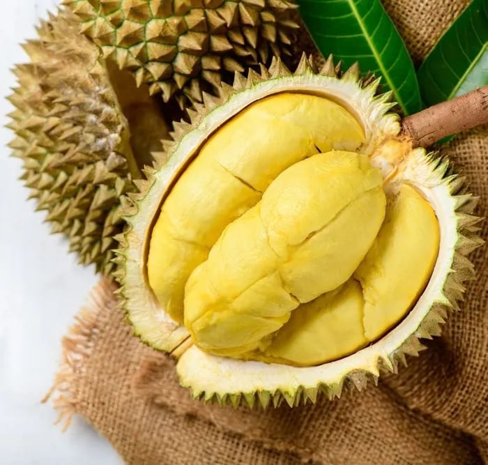 Sầu Riêng Monthong Thái Lan