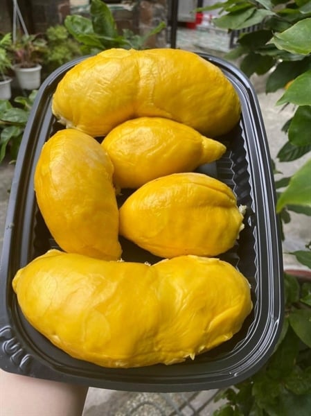 Sầu Riêng Thái (Sầu riêng Monthong) tách sẵn