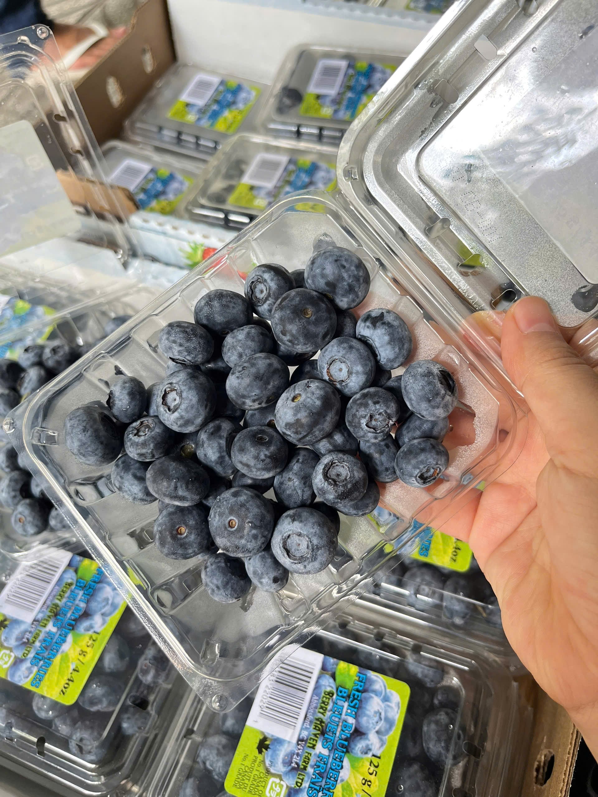 Việt quất Mỹ hộp 125g
