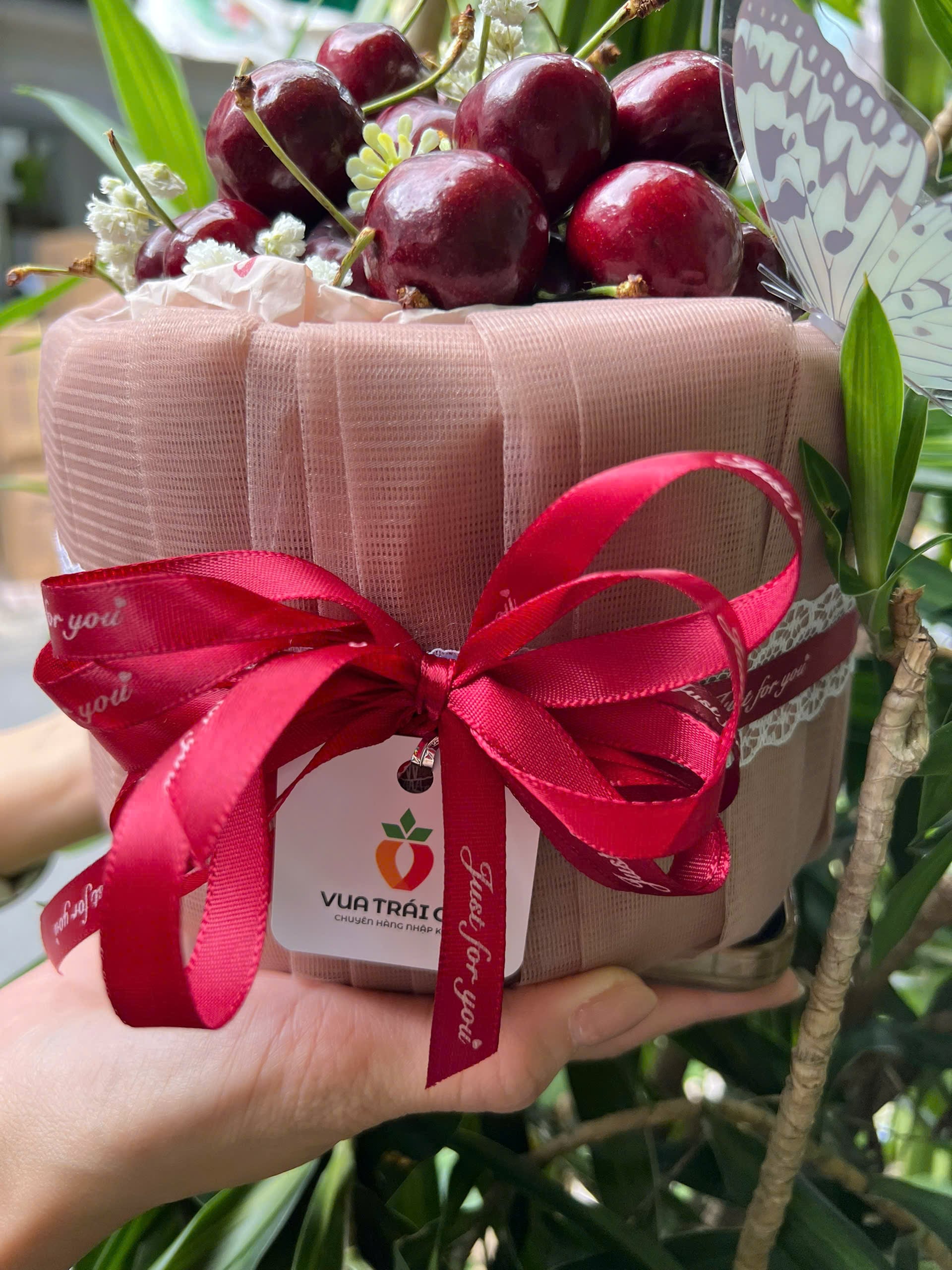 Bánh kem trái cây cao cấp 01