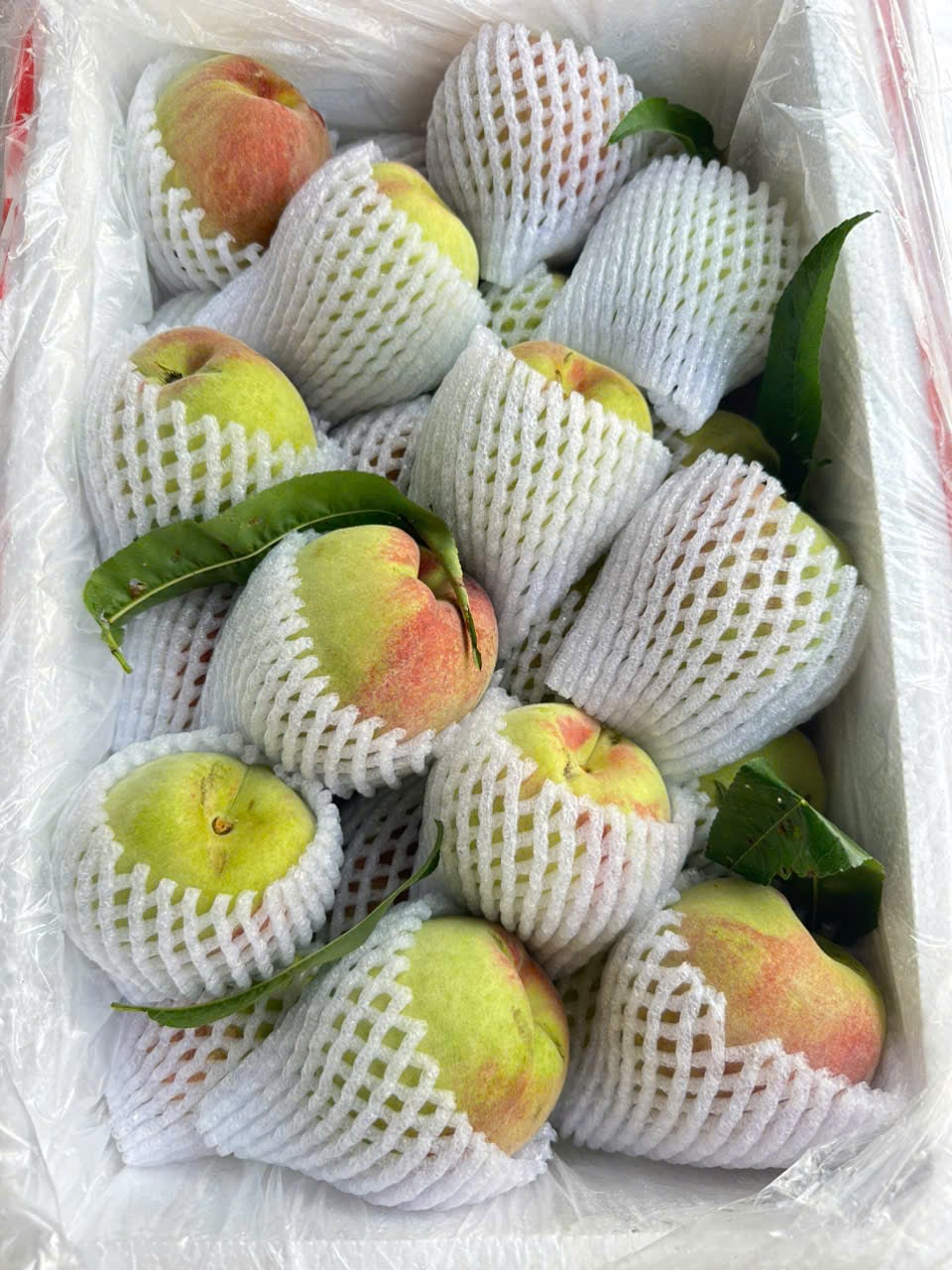 Đào mỏ quạ