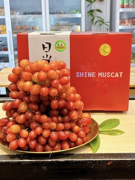 Nho mẫu đơn đỏ